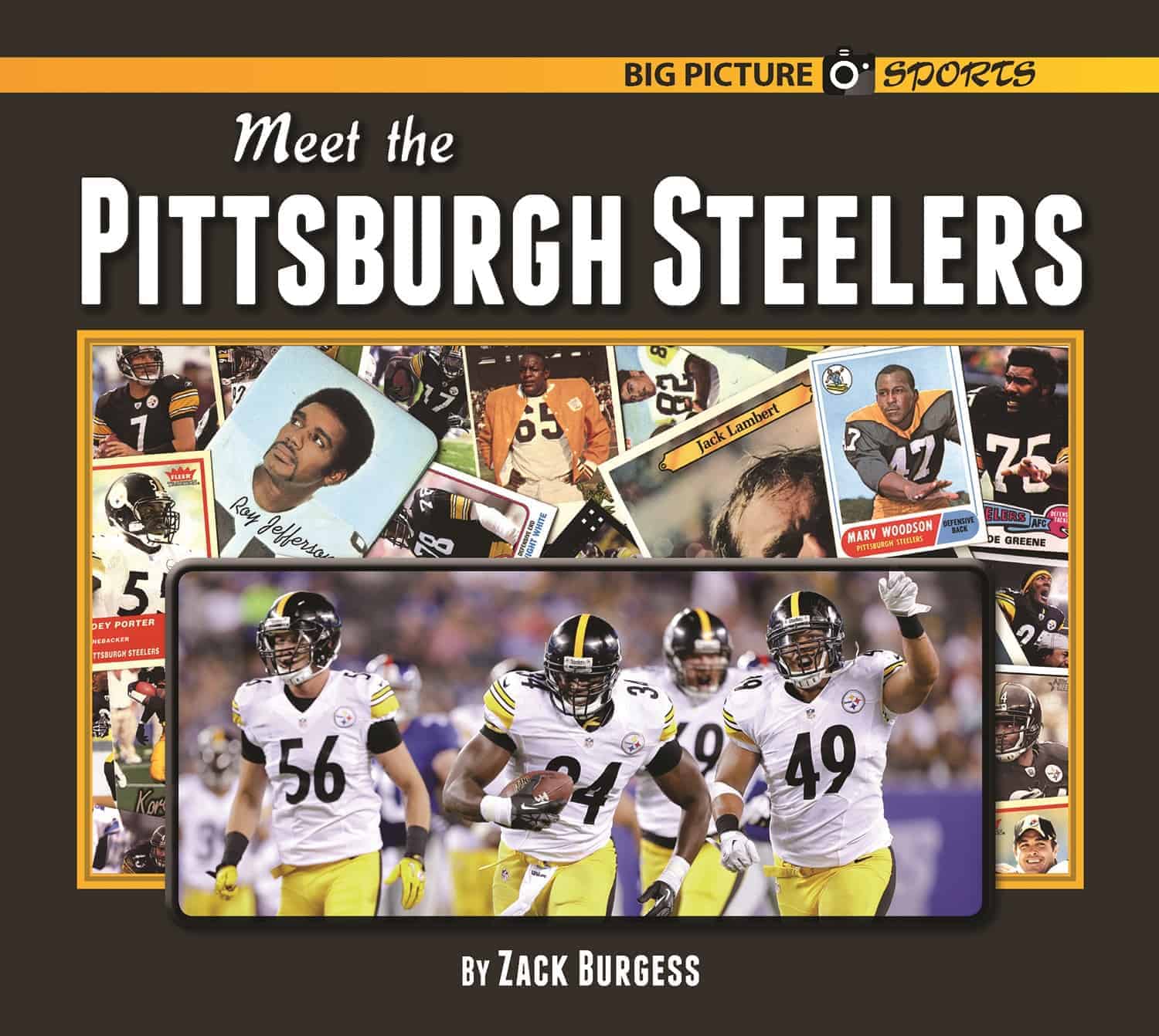 Meet the Pittsburgh Steelers eBookLibrary Norwood House Press