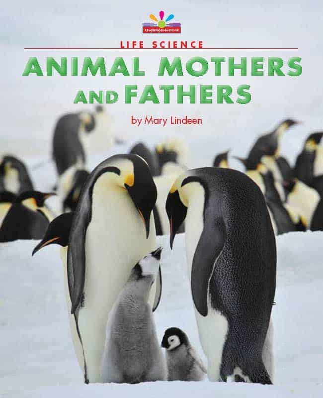 Animal Mothers and Fathers - Paperback