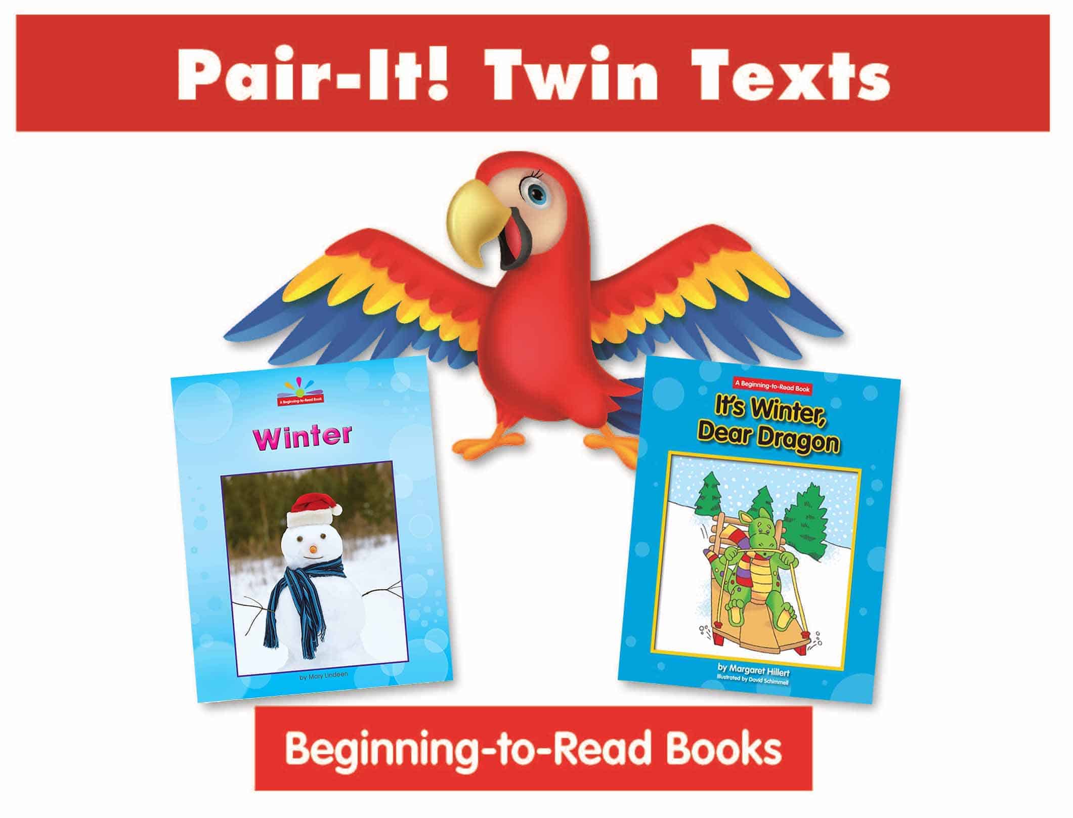 Winter Pair-It! Twin Text Take Home Pack (2 Book Set) - Paperback